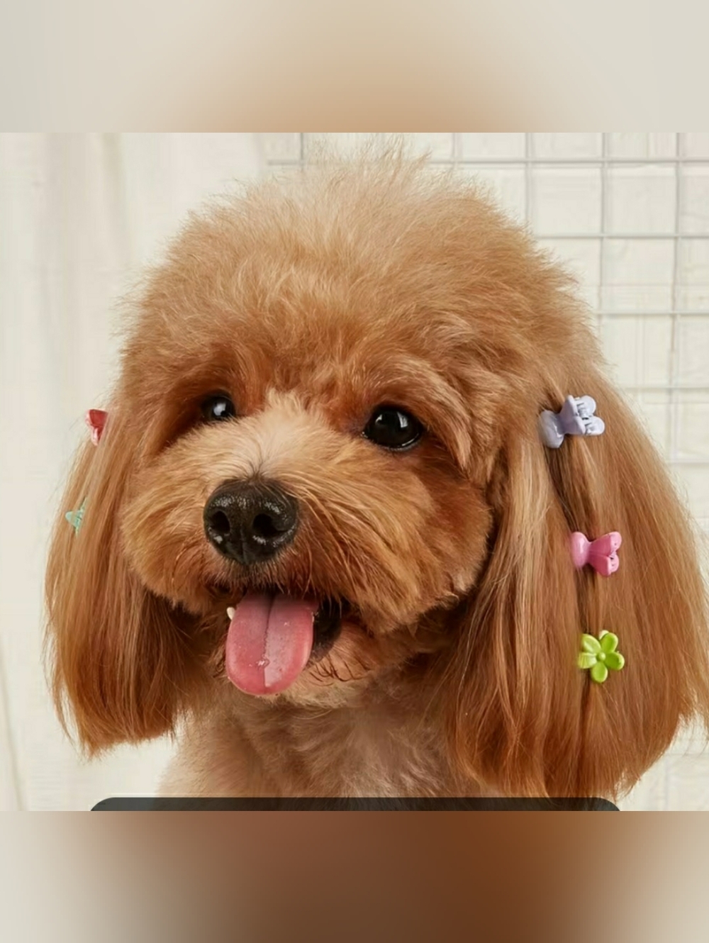 12 Pk Pet Mini Pastel Hair Clips